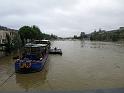 Paris (168)